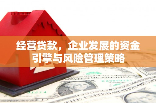 迪庆经营贷款，企业发展的资金引擎与风险管理策略