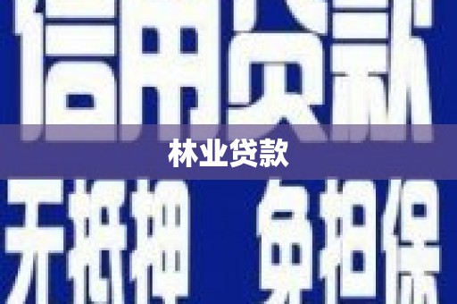 北关林业贷款