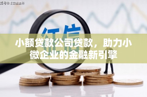 荷塘小额贷款公司贷款，助力小微企业的金融新引擎