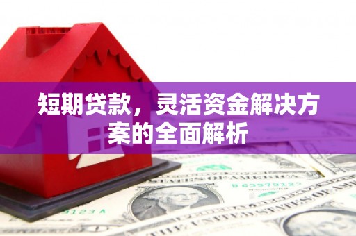 隆子短期贷款，灵活资金解决方案的全面解析