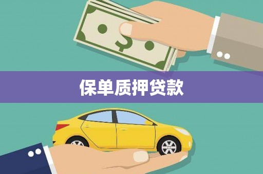 沈河保单质押贷款
