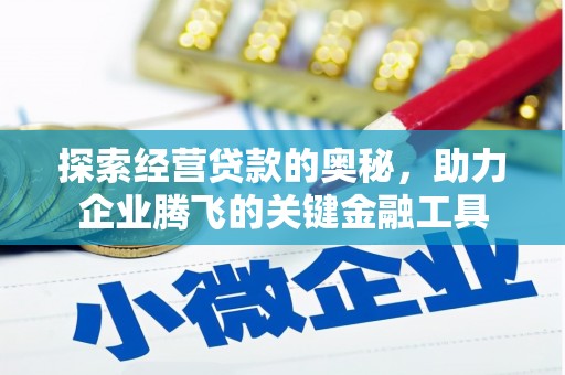 得荣探索经营贷款的奥秘，助力企业腾飞的关键金融工具