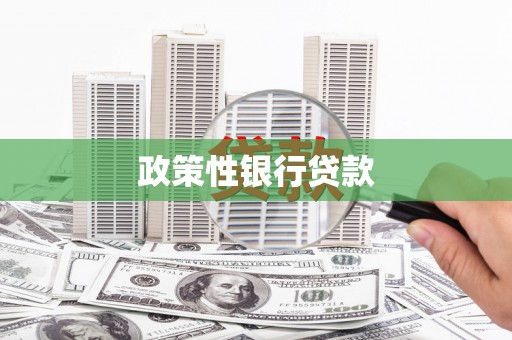 大武政策性银行贷款