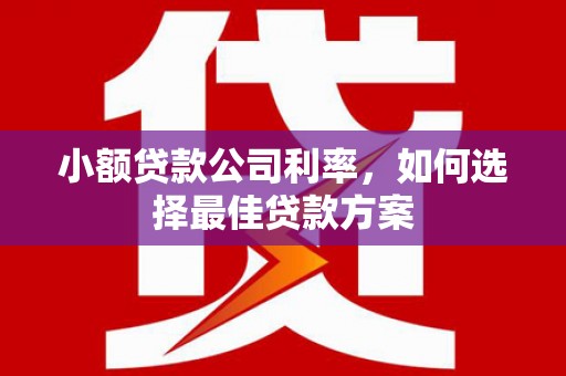 中国香港小额贷款公司利率，如何选择最佳贷款方案