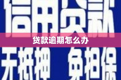 毕节贷款逾期怎么办