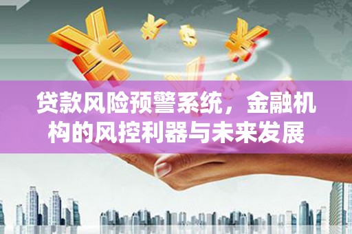 金塔贷款风险预警系统，金融机构的风控利器与未来发展