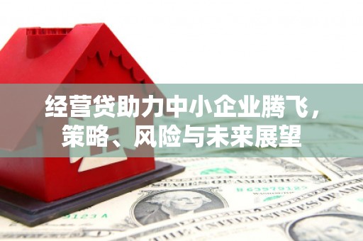 阿里山经营贷助力中小企业腾飞，策略、风险与未来展望
