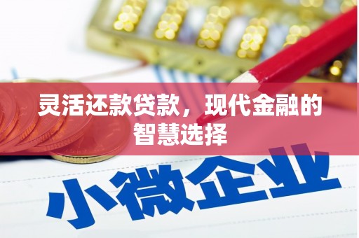 镇康灵活还款贷款，现代金融的智慧选择
