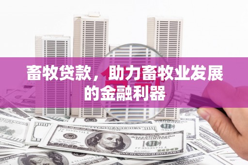 三水畜牧贷款，助力畜牧业发展的金融利器