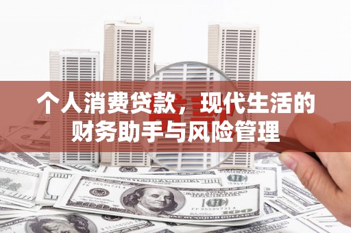 新华个人消费贷款，现代生活的财务助手与风险管理