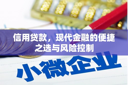 馆陶信用贷款，现代金融的便捷之选与风险控制