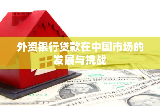 永靖外资银行贷款在中国市场的发展与挑战