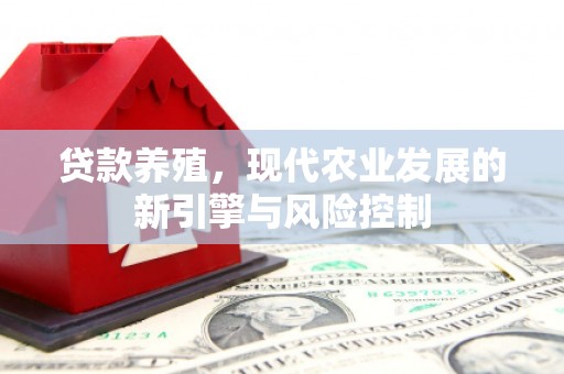 银川贷款养殖，现代农业发展的新引擎与风险控制