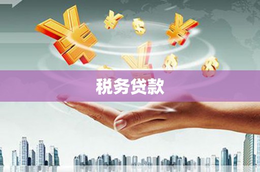 海原税务贷款