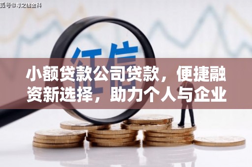 海南小额贷款公司贷款，便捷融资新选择，助力个人与企业成长