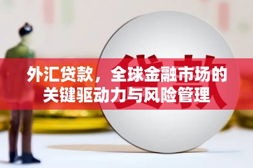 沂源外汇贷款，全球金融市场的关键驱动力与风险管理