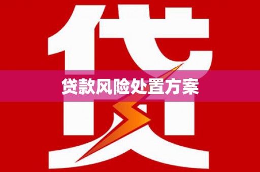 龙游贷款风险处置方案