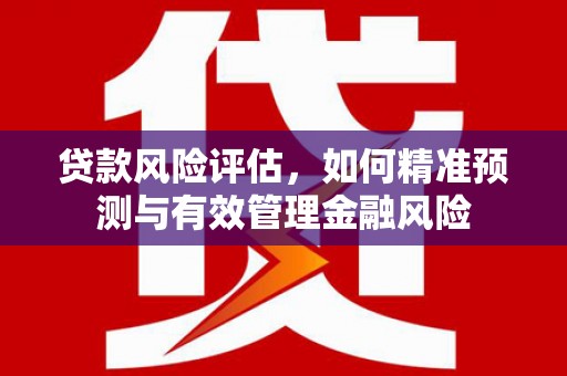 临猗贷款风险评估，如何精准预测与有效管理金融风险