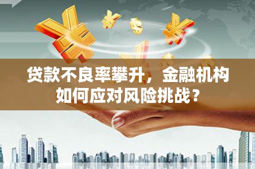 龙崎贷款不良率攀升，金融机构如何应对风险挑战？