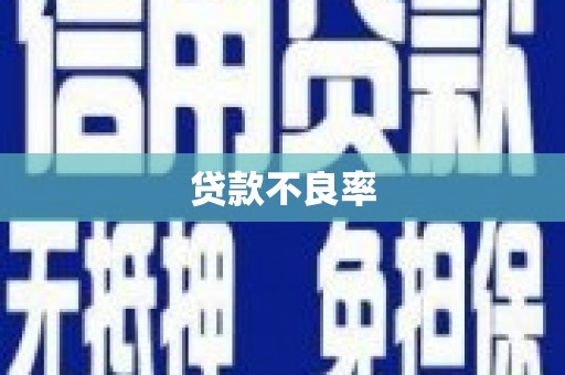郸城贷款不良率