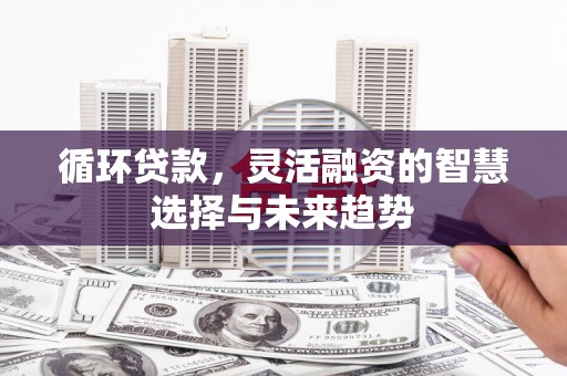 务川循环贷款，灵活融资的智慧选择与未来趋势