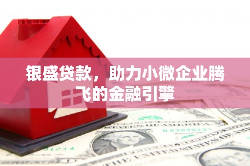 寿丰银盛贷款，助力小微企业腾飞的金融引擎