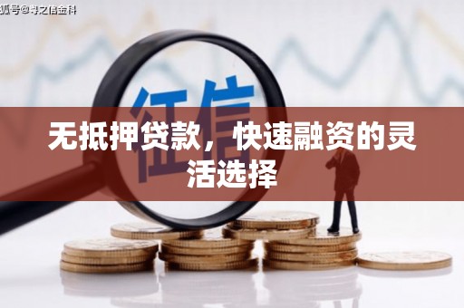 于田无抵押贷款，快速融资的灵活选择