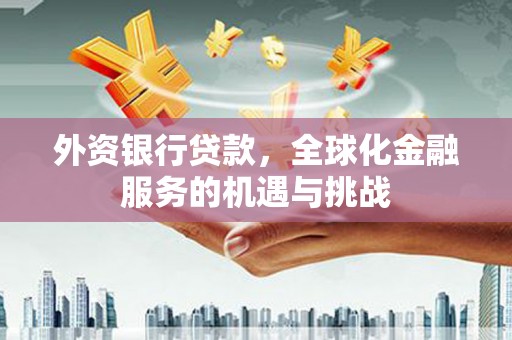 土默特左旗外资银行贷款，全球化金融服务的机遇与挑战