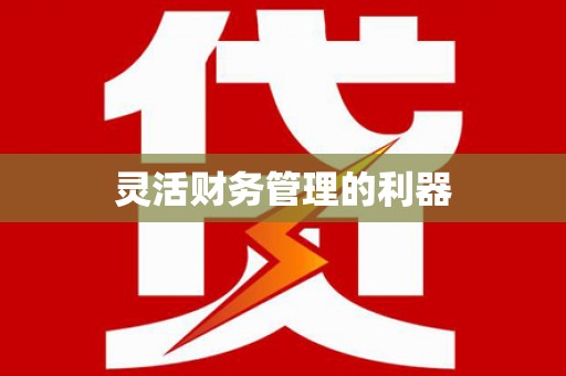 罗定灵活财务管理的利器