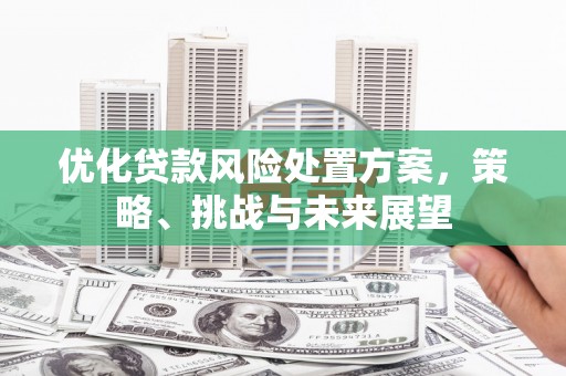 苍南优化贷款风险处置方案，策略、挑战与未来展望