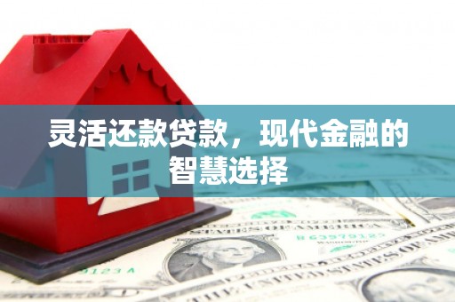 安远灵活还款贷款，现代金融的智慧选择