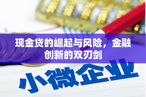 特克斯现金贷的崛起与风险，金融创新的双刃剑