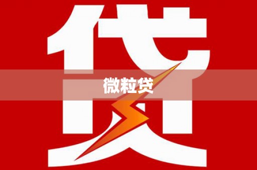 泗水微粒贷