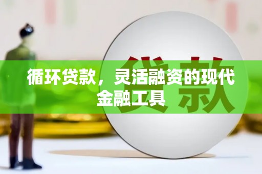 凤阳循环贷款，灵活融资的现代金融工具
