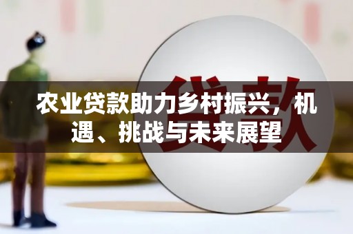 驿城农业贷款助力乡村振兴，机遇、挑战与未来展望