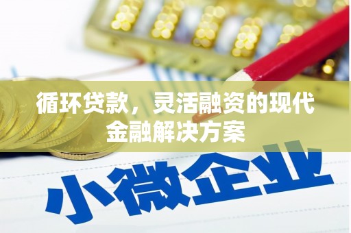 马龙循环贷款，灵活融资的现代金融解决方案