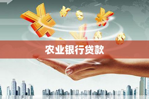 新安农业银行贷款