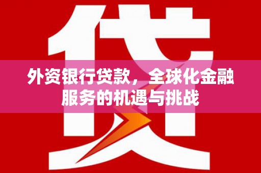 南投市外资银行贷款，全球化金融服务的机遇与挑战