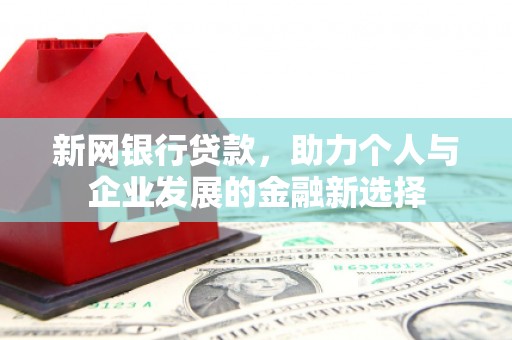 巴里坤新网银行贷款，助力个人与企业发展的金融新选择