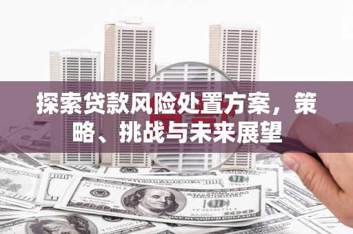 定海探索贷款风险处置方案，策略、挑战与未来展望