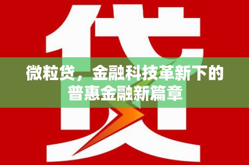 柳南微粒贷，金融科技革新下的普惠金融新篇章