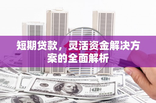 绥滨短期贷款，灵活资金解决方案的全面解析