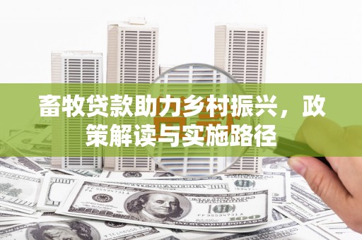 梅州畜牧贷款助力乡村振兴，政策解读与实施路径