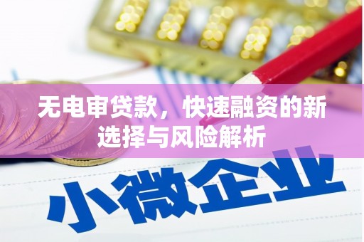 贞丰无电审贷款，快速融资的新选择与风险解析