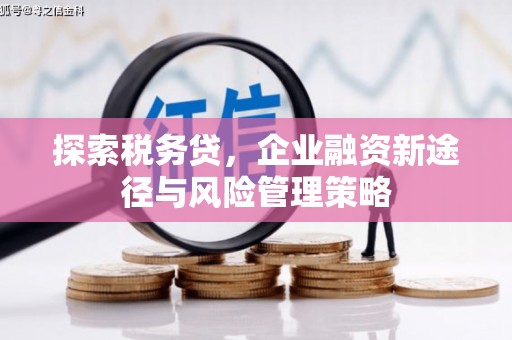 三元探索税务贷，企业融资新途径与风险管理策略
