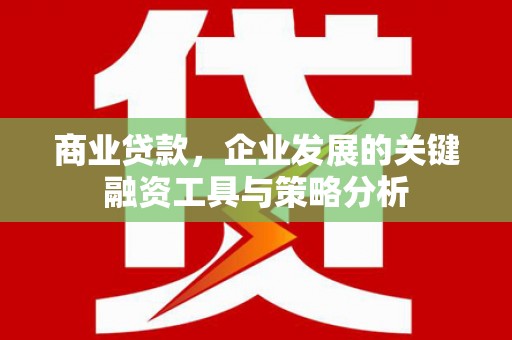 武邑商业贷款，企业发展的关键融资工具与策略分析