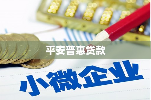 康定平安普惠贷款