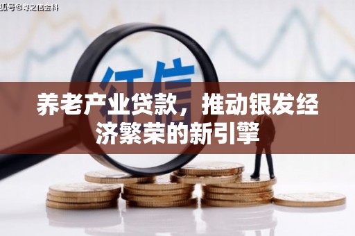 原阳养老产业贷款，推动银发经济繁荣的新引擎