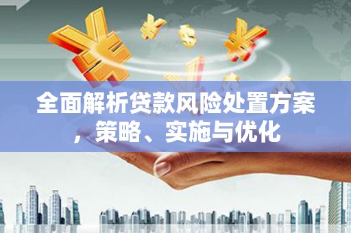 莎车全面解析贷款风险处置方案，策略、实施与优化
