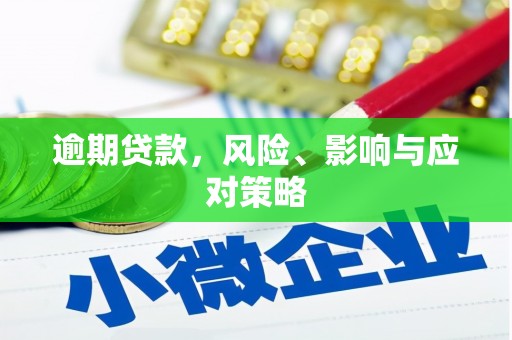 梅里斯逾期贷款，风险、影响与应对策略